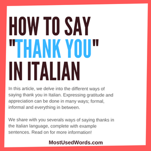 Common Ways To Say Thank You in Italian – MostUsedWords