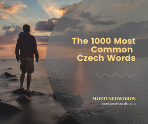 The 1000 Most Common Czech Words