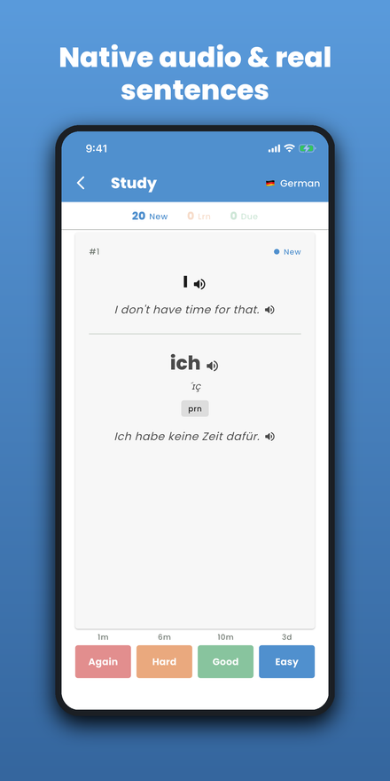 Flip for translation, grammar, and grading buttons